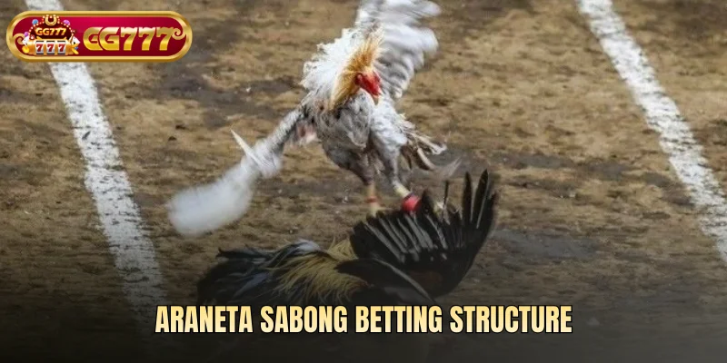 Araneta Sabong betting structure