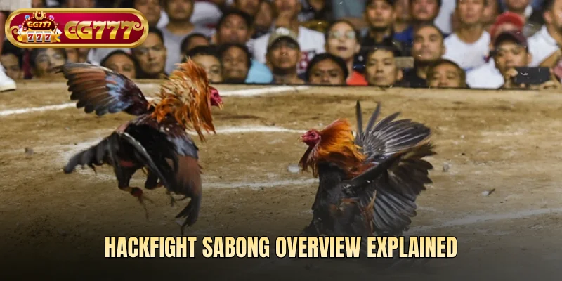 Hackfight Sabong overview explained