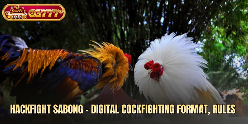 Hackfight Sabong