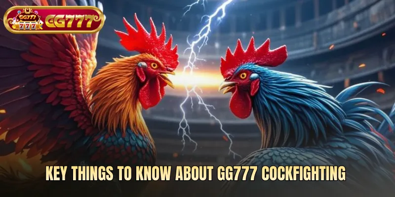 Key things to know about cockfighting gg777