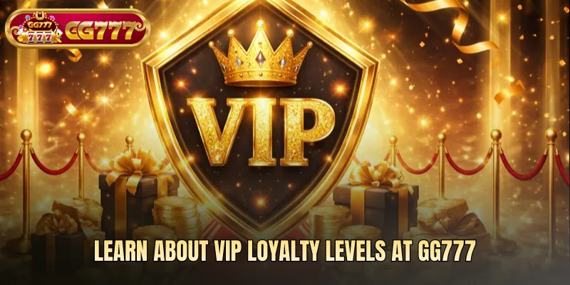 Learn About VIP Loyalty Levels At gg777