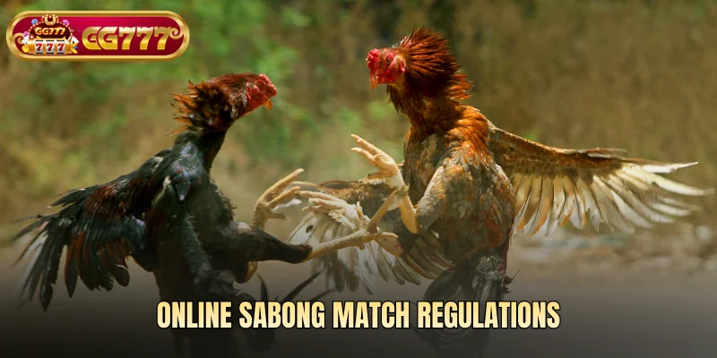 Online Sabong match regulations