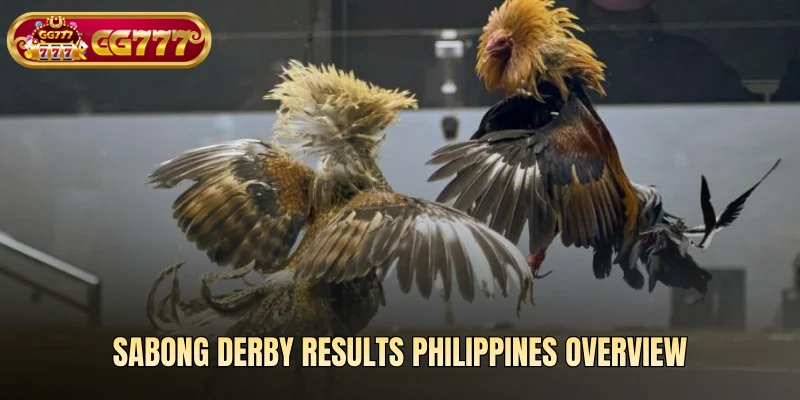 Sabong derby results Philippines overview