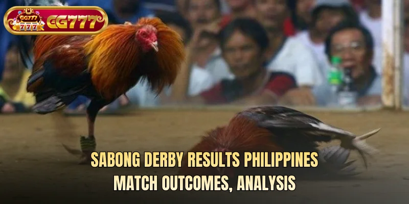 Sabong derby results Philippines