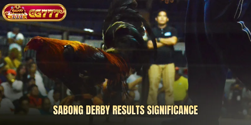 Sabong derby results significance