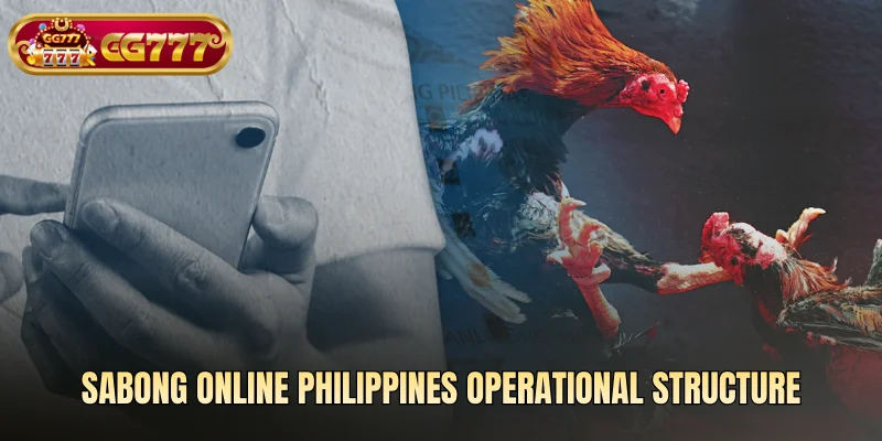 Sabong online Philippines operational structure