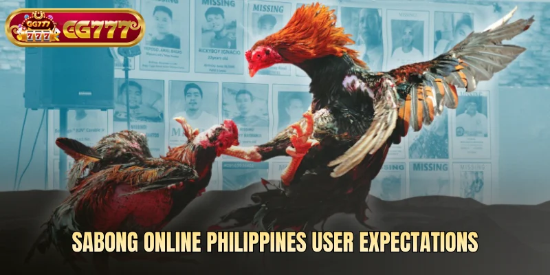 Sabong online Philippines user expectations