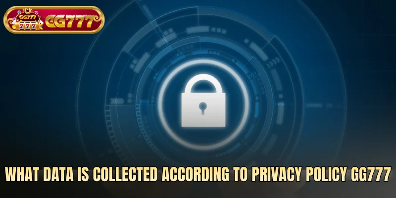 What data is collected according to Privacy Policy GG777