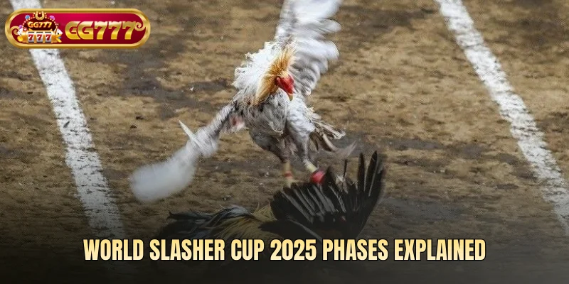 World Slasher Cup 2025 phases explained