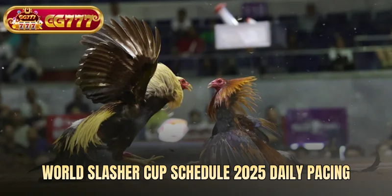 World Slasher Cup schedule 2025 daily pacing